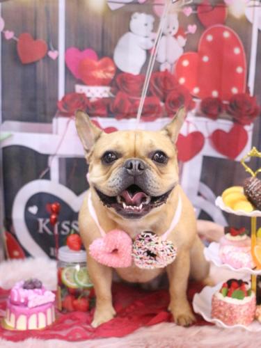 20250214力也くん